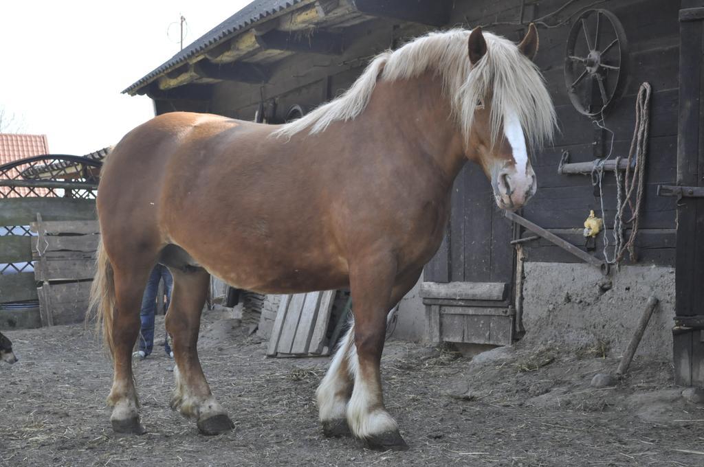 Noclegi U Heleny Doktorce Exteriér fotografie